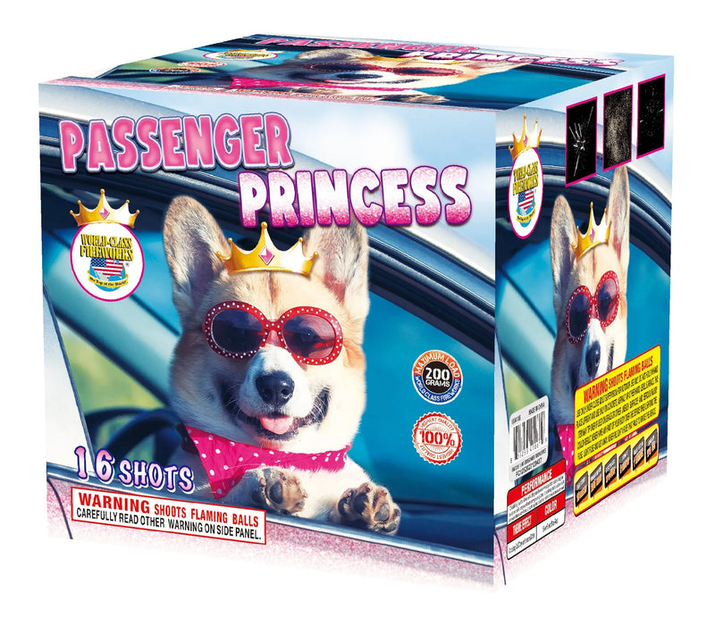 Passenger Princess - 16 Shot